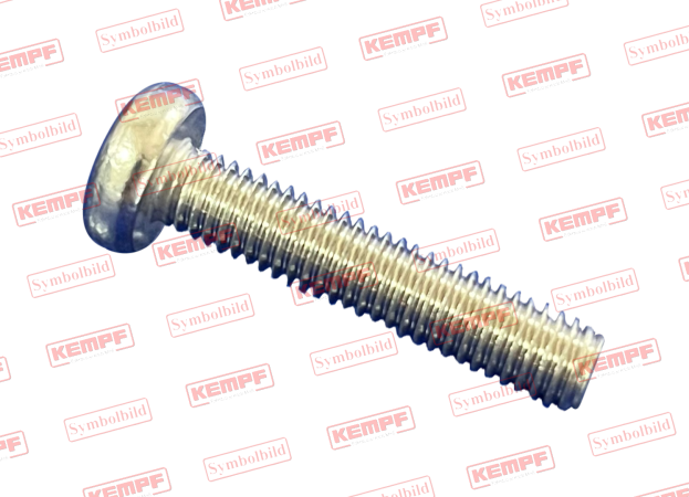 116358 KEMPF Linsenschraube  M4x12 A2